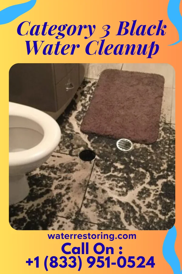 Category 3 Black Water Cleanup in Robinson, IL