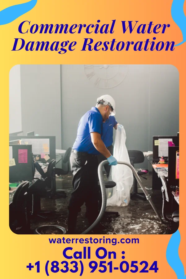 Commercial Water Damage Restoration in Robinson, IL
