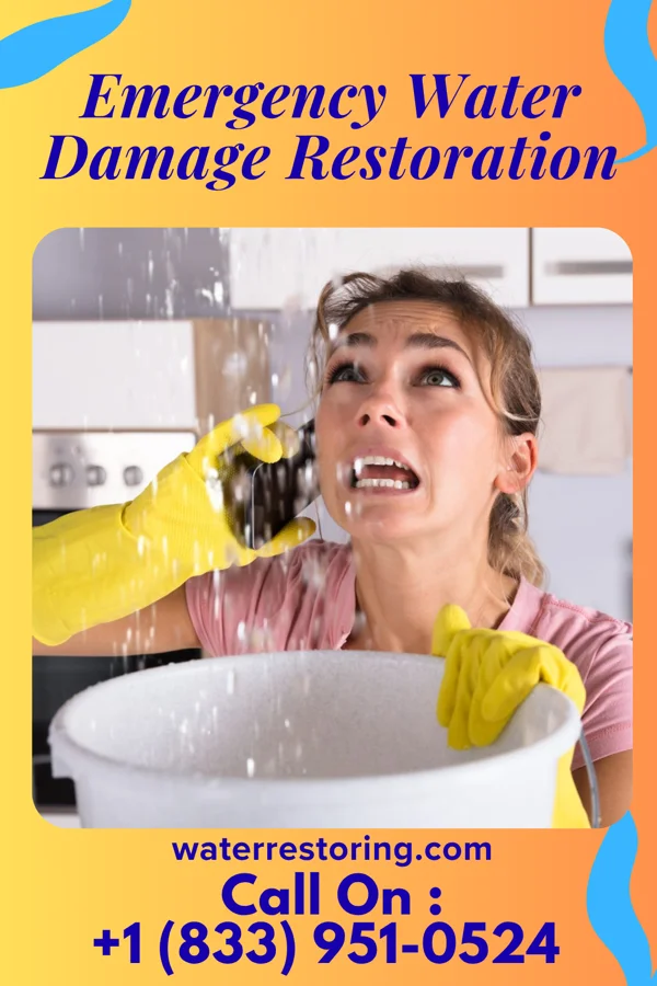 Emergency Water Damage Restoration in Robinson, IL