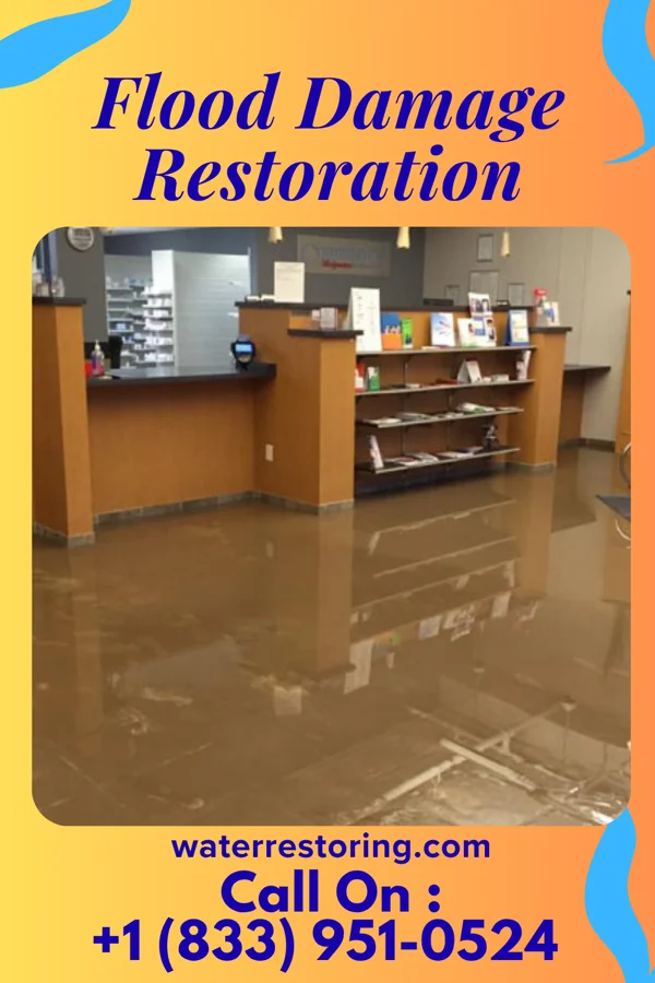 Flood Damage Restoration in Robinson, IL